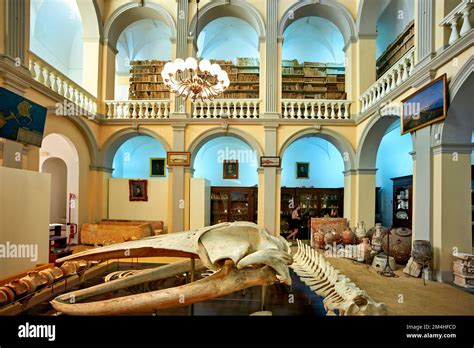 gallipoli italy museum